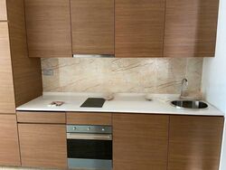 Queens Peak (D3), Condominium #483343141